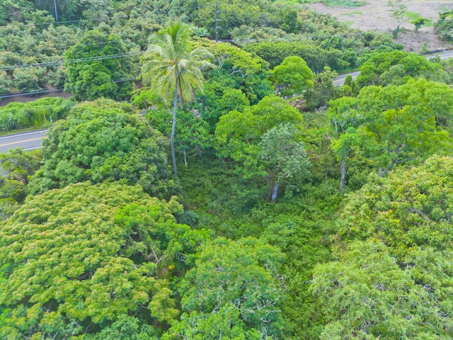 86-3845 Old Government Rd, Captain Cook, HI 96704 - photo 10