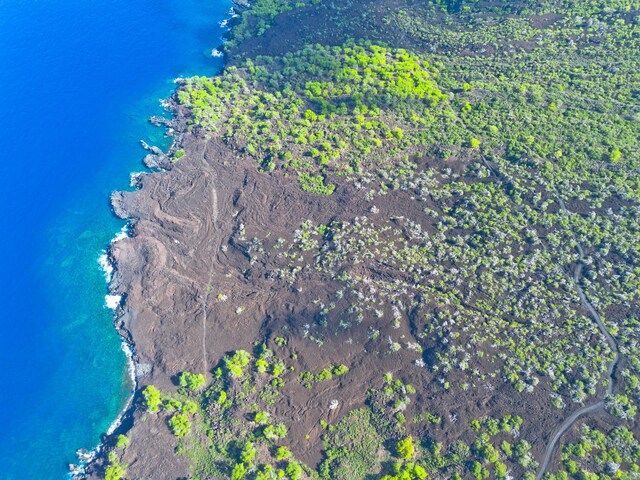86-3845 Old Government Rd, Captain Cook, HI 96704 - photo 28
