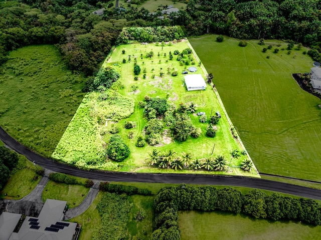 27-624 Kahalii Pl, Pepeekeo, HI 96781 - bird's eye view
