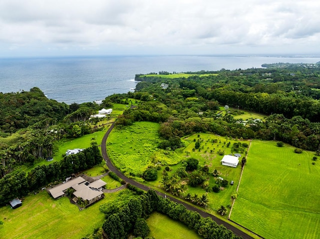 27-624 Kahalii Pl, Pepeekeo, HI 96781 - bird's eye view of a large body of water