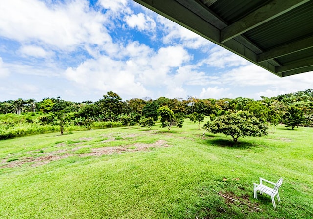 27-624 Kahalii Pl, Pepeekeo, HI 96781 - view of grassy yard