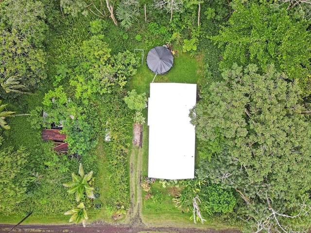 14-3556 Seadrift Rd, Pahoa, HI 96778 - aerial view
