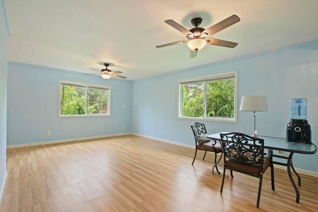 14-3556 Seadrift Rd, Pahoa, HI 96778 - office space featuring a ceiling fan, plenty of natural light, baseboards, light wood finished floors, and ornamental molding