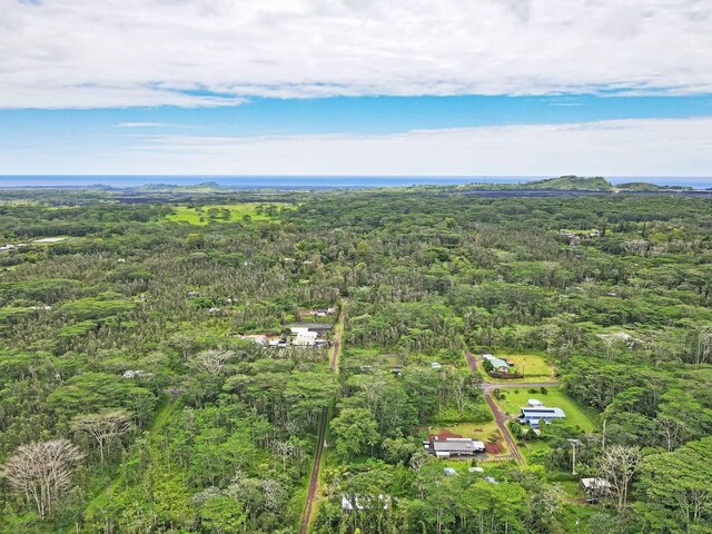 14-3556 Seadrift Rd, Pahoa, HI 96778 - bird's eye view of a forest
