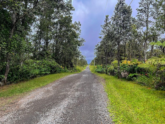 11-2697 Ohialani Rd, Volcano, HI 96785 - photo 1