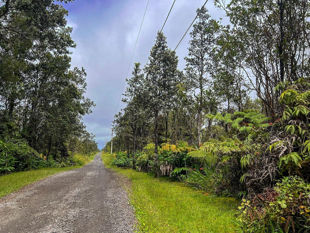 11-2697 Ohialani Rd, Volcano, HI 96785 - photo 3