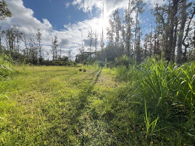 16-2142 Orchid Dr, Pahoa, HI 96778 - photo 4