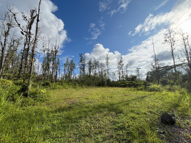 16-2142 Orchid Dr, Pahoa, HI 96778 - photo 6