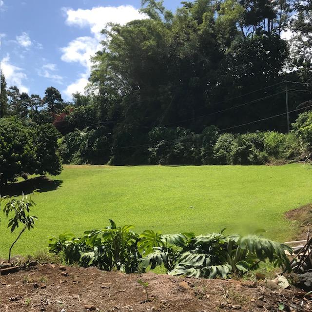 28-1740 Honomu Rd, Honomu, HI 96728 - view of grassy yard