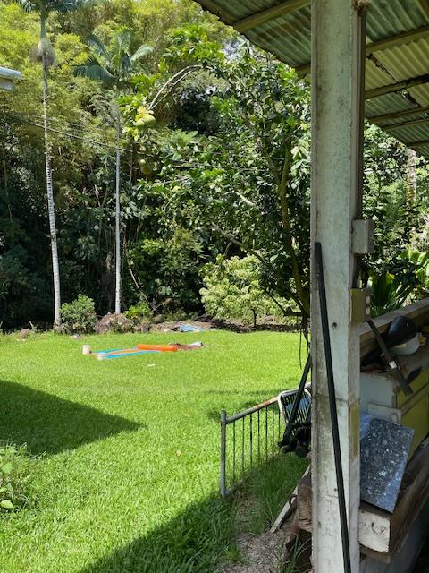 28-1740 Honomu Rd, Honomu, HI 96728 - view of grassy yard