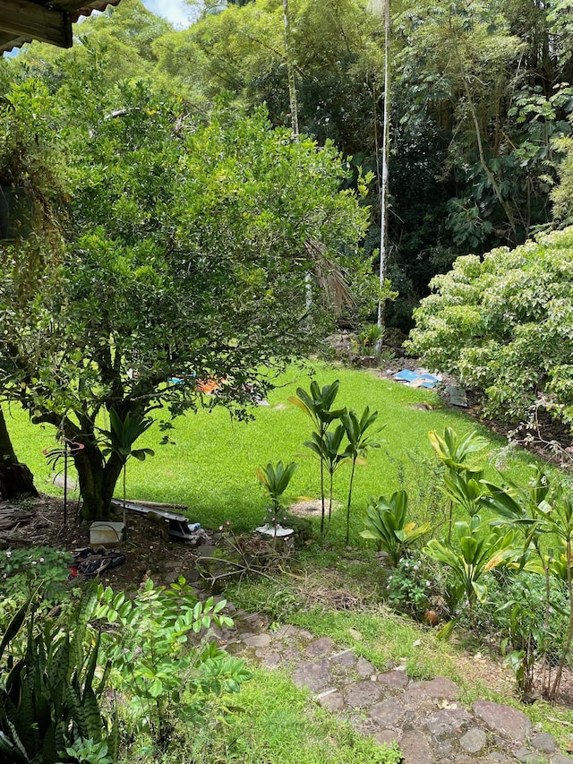 28-1740 Honomu Rd, Honomu, HI 96728 - view of grassy yard