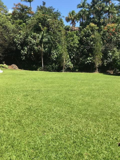28-1740 Honomu Rd, Honomu, HI 96728 - view of green lawn