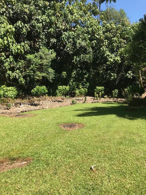 28-1740 Honomu Rd, Honomu, HI 96728 - view of green lawn