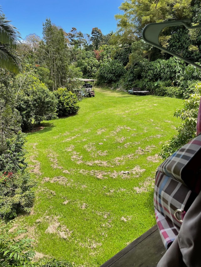 28-1740 Honomu Rd, Honomu, HI 96728 - view of grassy yard