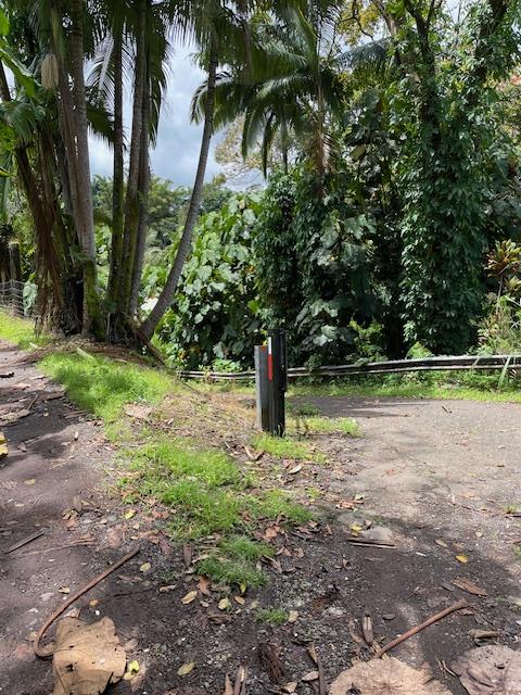 28-1740 Honomu Rd, Honomu, HI 96728 - view of yard