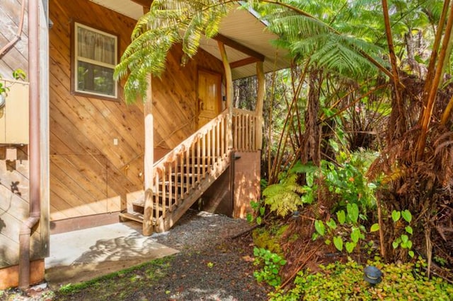 11-3828 2nd St, Volcano, HI 96785 - doorway to property with covered porch