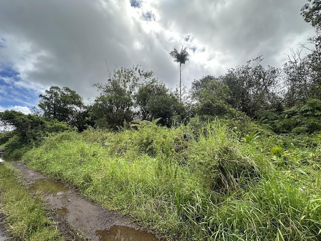 Waikiki St, Mountain View, HI 96771 - photo 1
