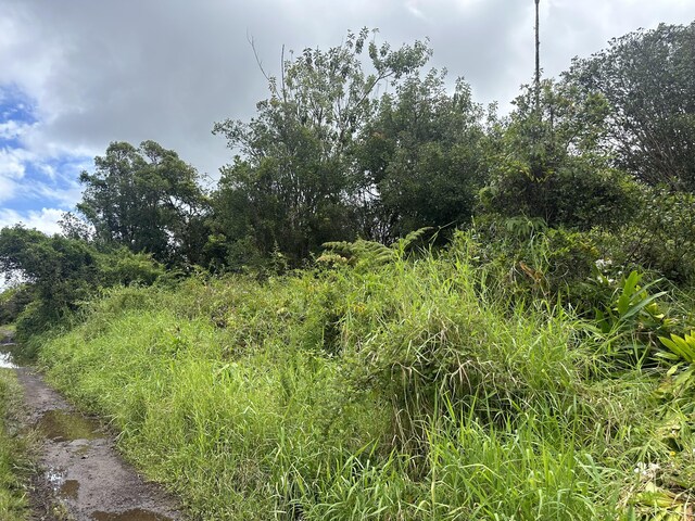 Waikiki St, Mountain View, HI 96771 - photo 5