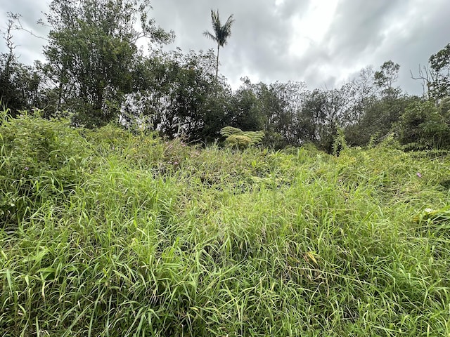 Waikiki St, Mountain View, HI 96771 - photo 2