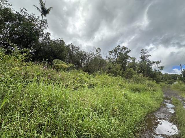 Waikiki St, Mountain View, HI 96771 - photo 3