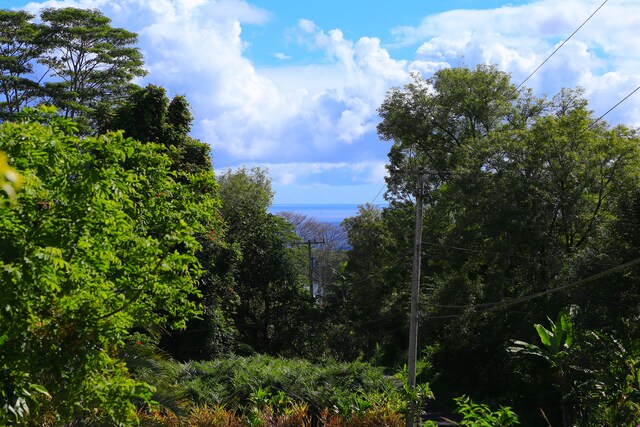 564 Hoaka Rd, Hilo, HI 96720 - photo 15