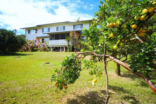 564 Hoaka Rd, Hilo, HI 96720 - photo 23