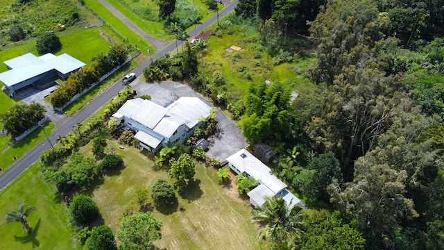 564 Hoaka Rd, Hilo, HI 96720 - photo 9