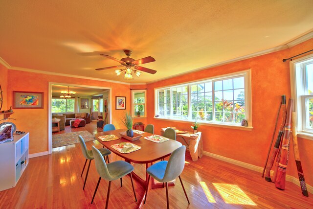 564 Hoaka Rd, Hilo, HI 96720 - photo 5