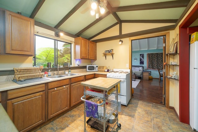 564 Hoaka Rd, Hilo, HI 96720 - photo 27