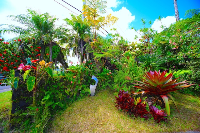 564 Hoaka Rd, Hilo, HI 96720 - photo 30