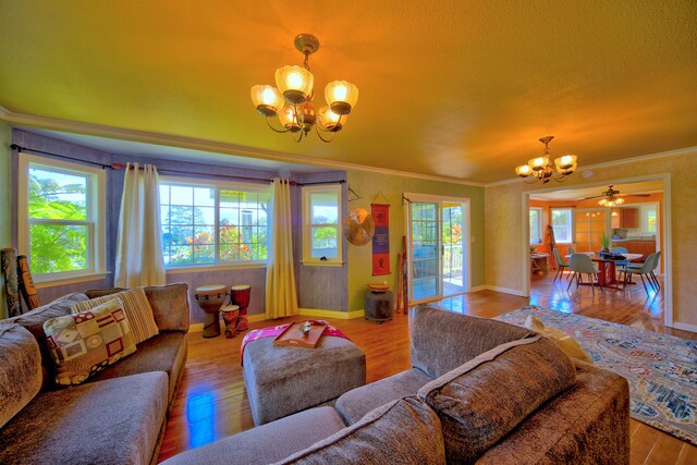 564 Hoaka Rd, Hilo, HI 96720 - photo 10