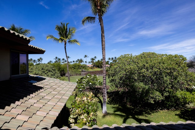 68-1125 Kaniku Dr Unit 706, Kamuela, HI 96743 - view of yard with a patio