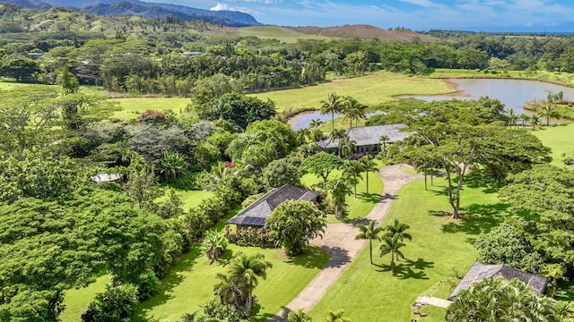 5792 Kahiliholo Rd, Kilauea, HI 96754 - photo 28