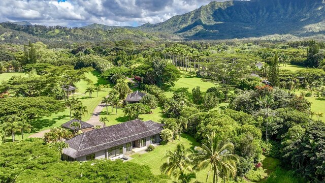 5792 Kahiliholo Rd, Kilauea, HI 96754 - photo 29