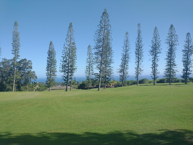 94-1770 Kaulua St, Naalehu, HI 96772 - view of property's community with a yard