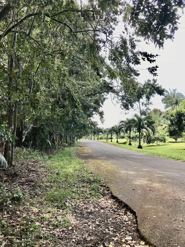 Alakahi Pl Lot B, Pepeekeo, HI 96781