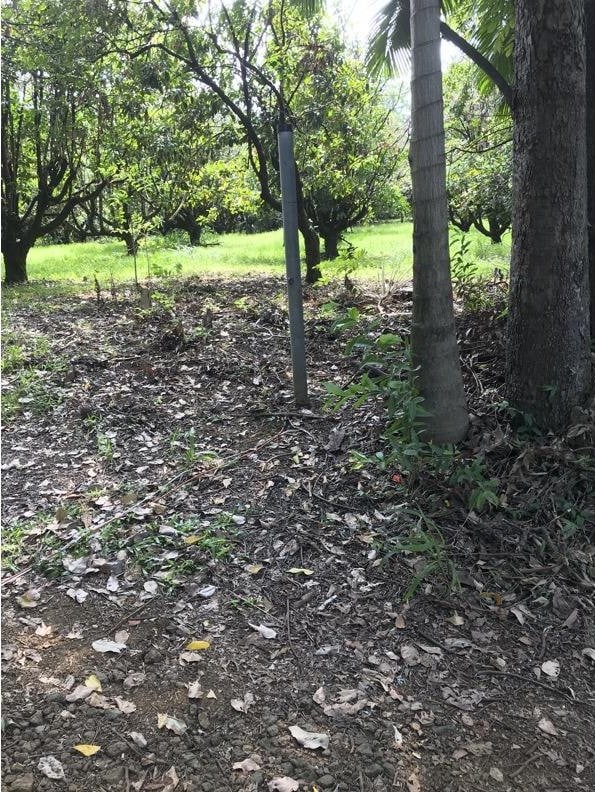 Alakahi Pl Lot B, Pepeekeo, HI 96781