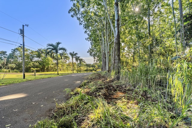 Alakahi Pl Lot B, Pepeekeo, HI 96781