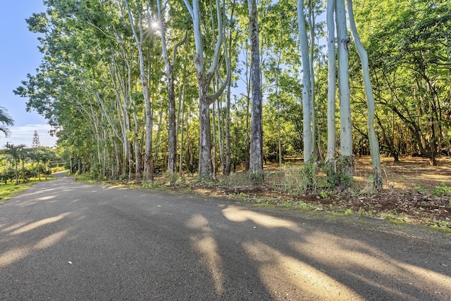 Alakahi Pl Lot B, Pepeekeo, HI 96781