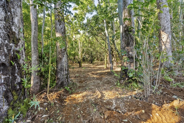 Alakahi Pl Lot B, Pepeekeo, HI 96781