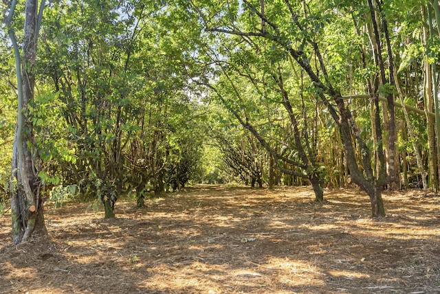 Alakahi Pl Lot B, Pepeekeo, HI 96781