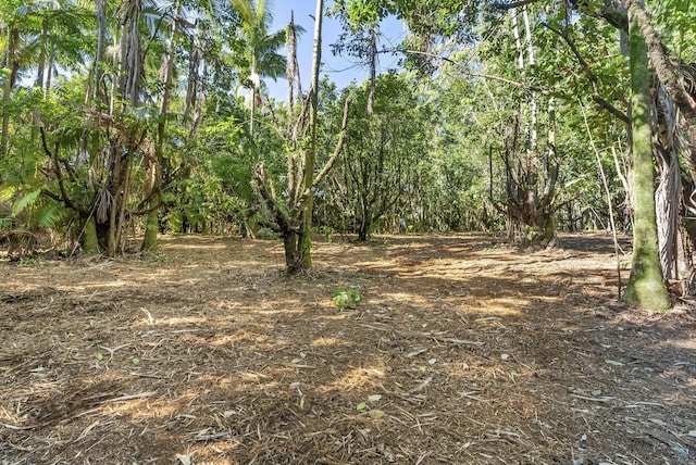 Alakahi Pl Lot B, Pepeekeo, HI 96781
