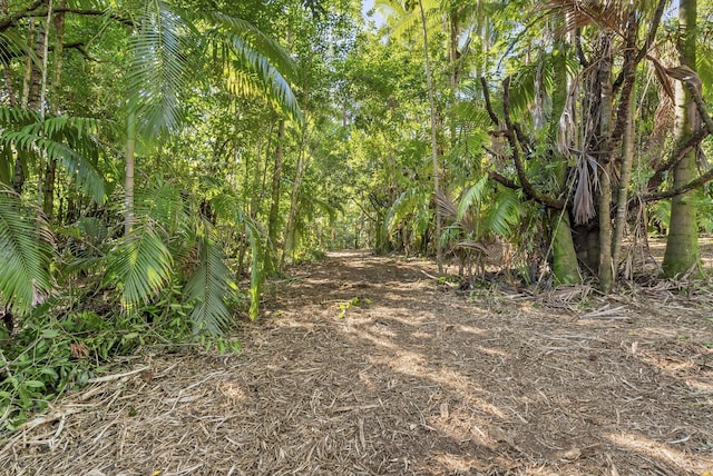 Alakahi Pl Lot B, Pepeekeo, HI 96781