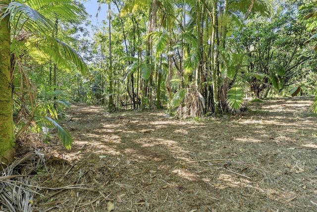 Alakahi Pl Lot B, Pepeekeo, HI 96781