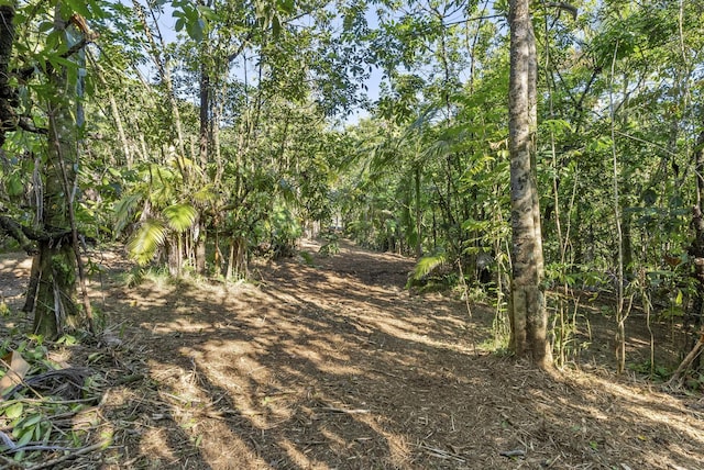 Alakahi Pl Lot B, Pepeekeo, HI 96781