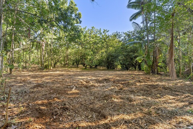 Alakahi Pl Lot B, Pepeekeo, HI 96781