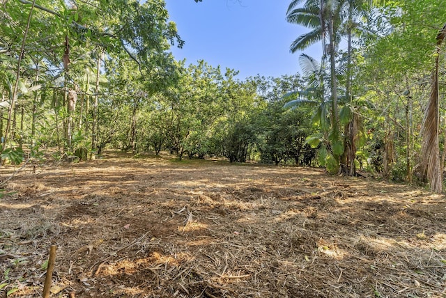 Alakahi Pl Lot B, Pepeekeo, HI 96781