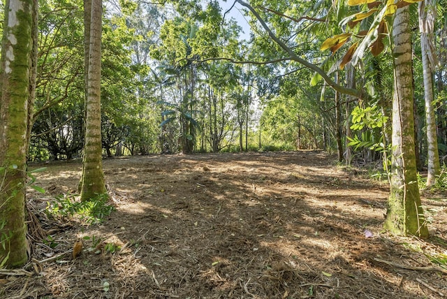 Alakahi Pl Lot B, Pepeekeo, HI 96781
