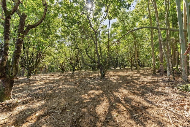 Alakahi Pl Lot B, Pepeekeo, HI 96781