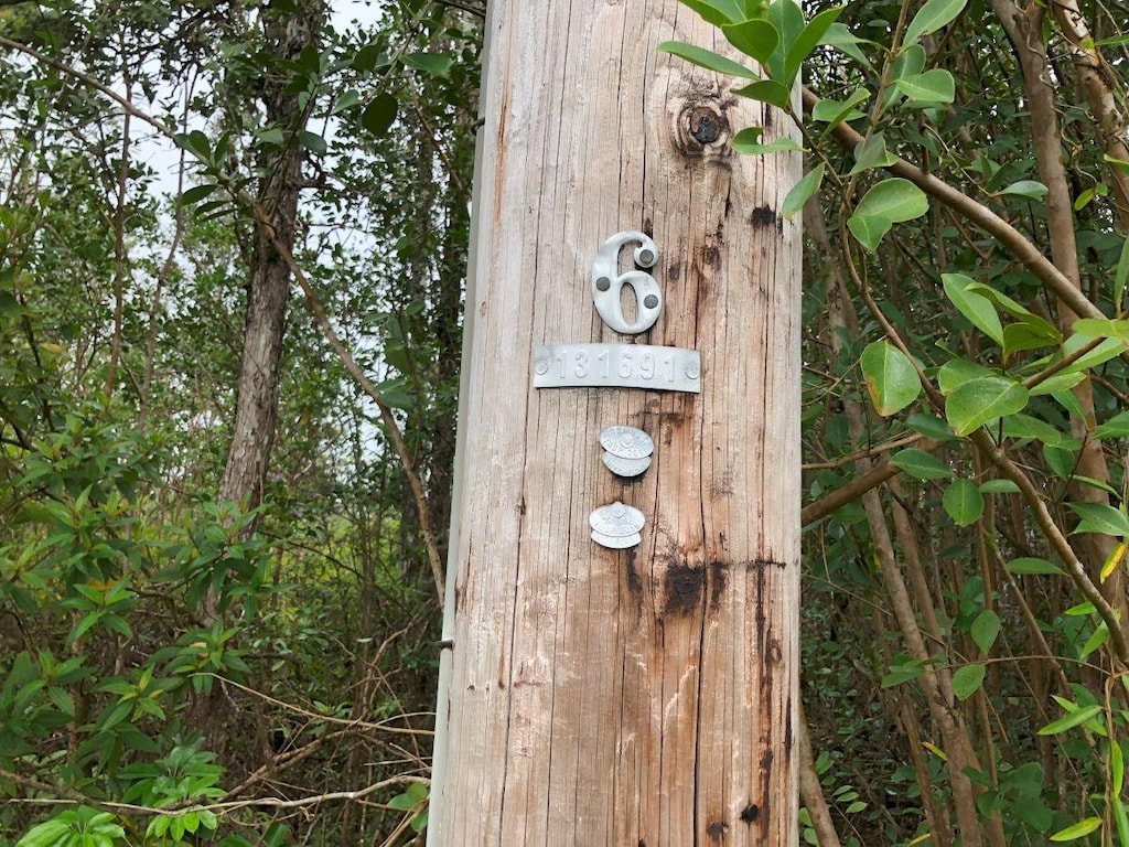 Tiki Ln, Pahoa, HI 96778